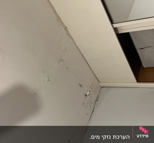 קיר עם סימני רטיבות ועובש ליד ארון פתוח